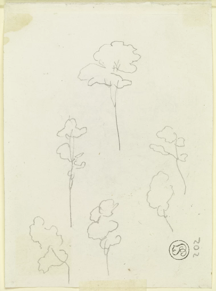 Carl Philipp Fohr - Alberi, Städelsches Kunstinstitut und Städtische Galerie